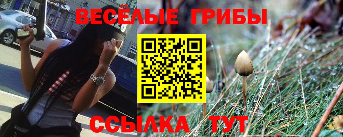 Псилоцибиновые грибы прущие грибы Красноярск
