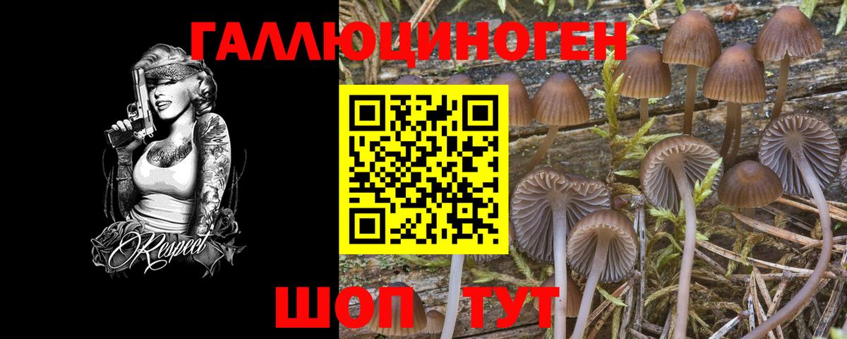 наркошоп  Галлюциногенные грибы Cubensis  Вход с VPN  Галлюциногенные грибы MAGIC MUSHROOMS  Красноярск 